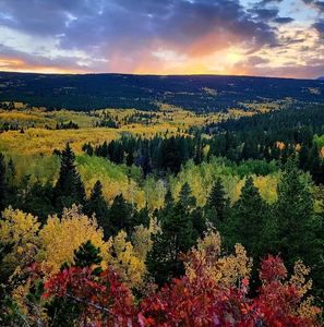 Meet your Posher, Alison